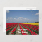 チューリップフェスティバル、スカギットバレーチューリップフェスティバル ポストカード (正面/裏面)