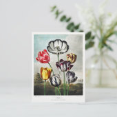 チューリップフラワーアートワーク シーズンポストカード (スタンド正面)