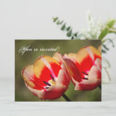 チューリップフラワーズ招待状 招待状 (スタンド正面)