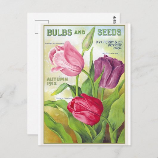 チューリップフラワーボタニカルヴィンテージはがき ポストカード (正面/裏面)