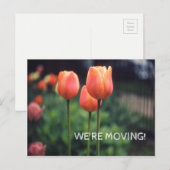 チューリップフローラの花かわいらしチューリップを移動する 案内ポストカード (正面/裏面)