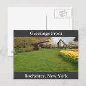 チューリップベッド&キャノン ポストカード (正面/裏面)