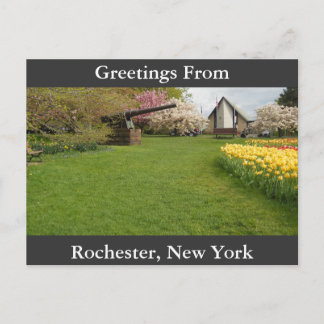 チューリップベッド&キャノン ポストカード