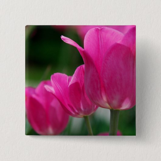 チューリップボタン 缶バッジ (正面)