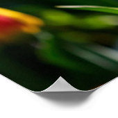 チューリップポスター ポスター (角)