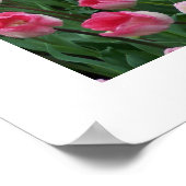 チューリップポスター ポスター (角)