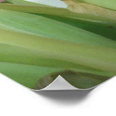 チューリップポスター ポスター (角)