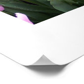 チューリップポスター ポスター (角)