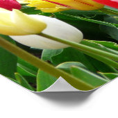 チューリップポスター ポスター (角)