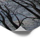 チューリップポプラの木曇り青空 ポスター (角)