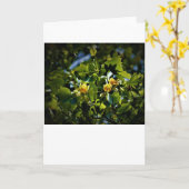 チューリップポプラの花、カード カード (黄色い花)