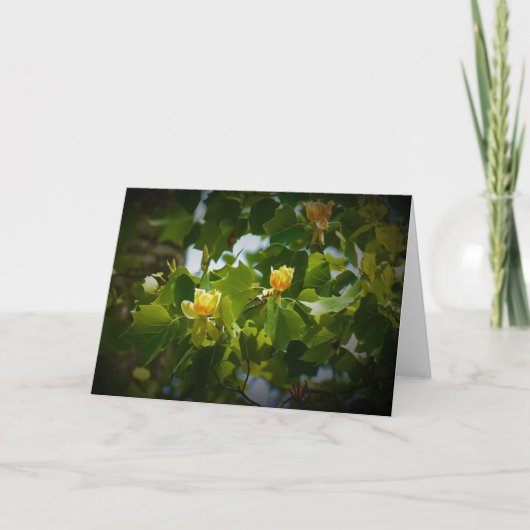チューリップポプラの花、カード カード (正面)