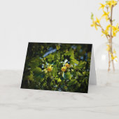 チューリップポプラの花、カード カード (黄色い花)
