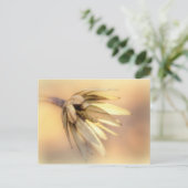 チューリップポプラ空シードポッド ポストカード (スタンド正面)