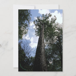 チューリップポプラ/ジョイス・キルマー詩ツリーカード セーブザデート