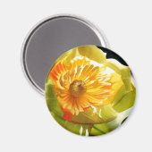 "チューリップポプラ"黄色い花水色 マグネット (正面/裏面)