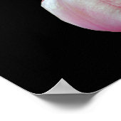 チューリップワークラブダンスライブ感動的引用文 ポスター (角)