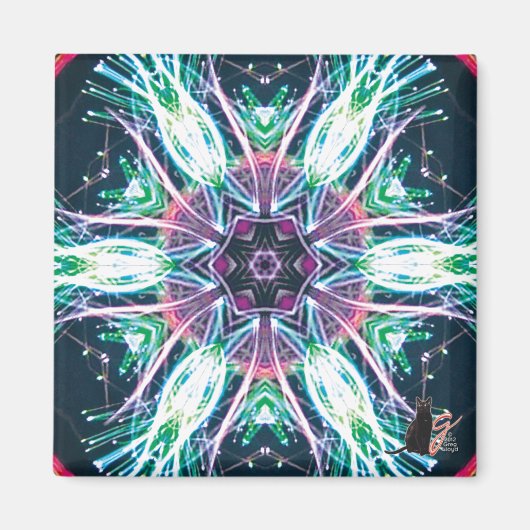 チューリップ万華鏡のように千変万化するパターン磁石 マグネット (正面)