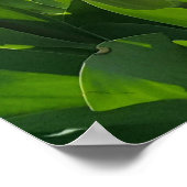 チューリップ付きオランダの春季 ポスター (角)