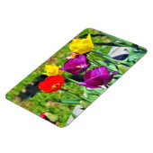 チューリップ写真のQuintet マグネット (左側)