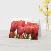 チューリップ写真 |サンゴと金ゴールドの縁取り カード (黄色い花)