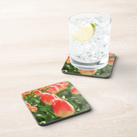 チューリップ天国 コースター (右側)