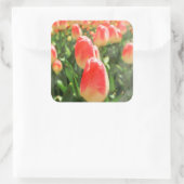 チューリップ天国 スクエアシール (バッグ)