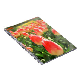 チューリップ天国 ノートブック
