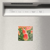 チューリップ天国 マグネット (インサイチュ (食洗機))