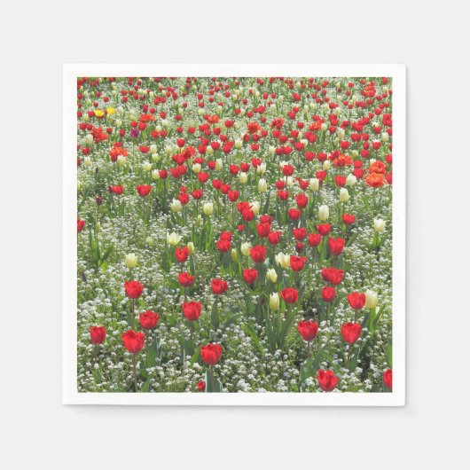 チューリップ層 スタンダードカクテルナプキン (正面)