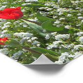 チューリップ層 ポスター (角)