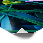 チューリップ市 ポスター (コーナー)