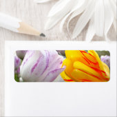 チューリップ愛 ラベル (インサイチュ)