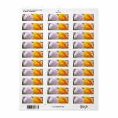 チューリップ愛 ラベル (フルシート)