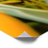 チューリップ感じフィールドのキツネカップル ポスター (角)