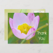 チューリップ感謝していフラワー空白のユー ポストカード (正面/裏面)