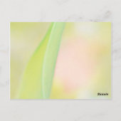 チューリップ感謝していフラワー空白のユー ポストカード (裏面)