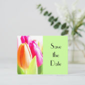 チューリップ日付を保存 案内ポストカード (スタンド正面)