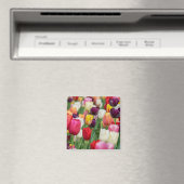 チューリップ春の花ガーデンフローライエローピンクレッド マグネット (インサイチュ (食洗機))