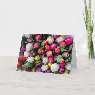 チューリップ春挨拶 カード