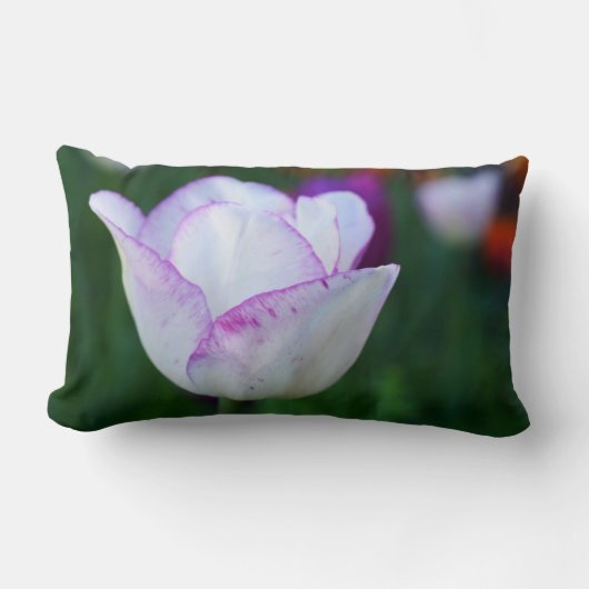 チューリップ春 ランバークッション (正面)