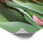 チューリップ時間 ポスター (角)