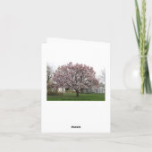 チューリップ木の春ははねました カード (裏面)