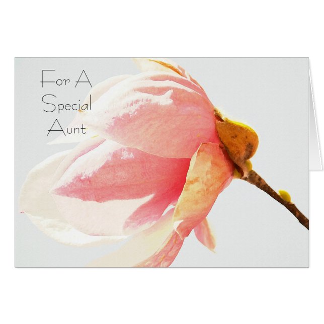 チューリップ木の花スペシャルの叔母さん (正面横)