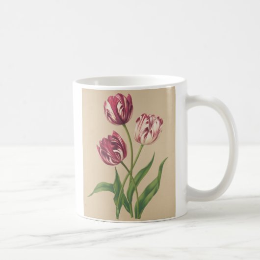 チューリップ植物芸術 コーヒーマグカップ (右)