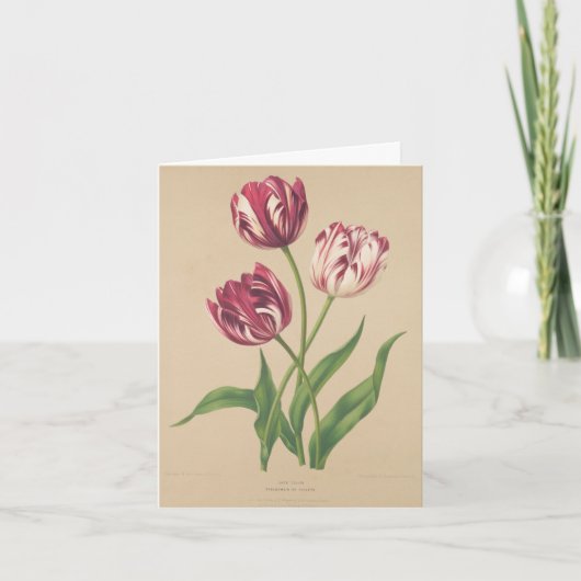 チューリップ植物芸術 サンキューカード (正面)
