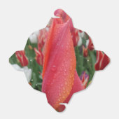 チューリップ水滴花取り出し特典ボックス フェイバーボックス (折り畳みなし)