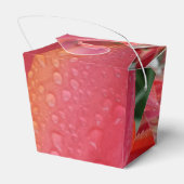 チューリップ水滴花取り出し特典ボックス フェイバーボックス (裏面サイド)