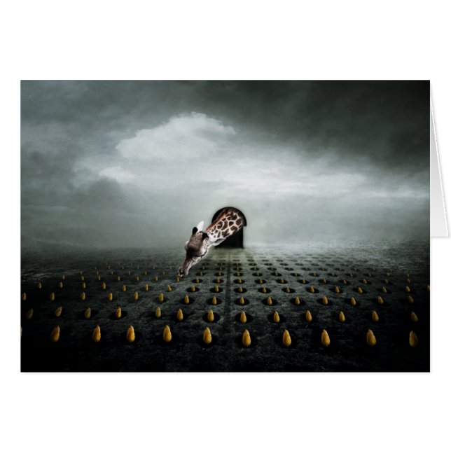 チューリップ泥棒2 2013 (正面横)