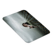 チューリップ泥棒2 2013 マグネット (右側)